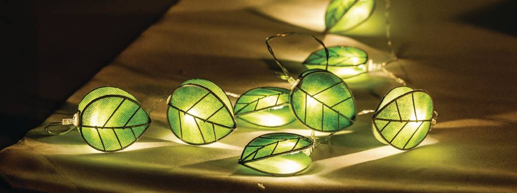 HQ 10 LED's Lichtslinger - Blad