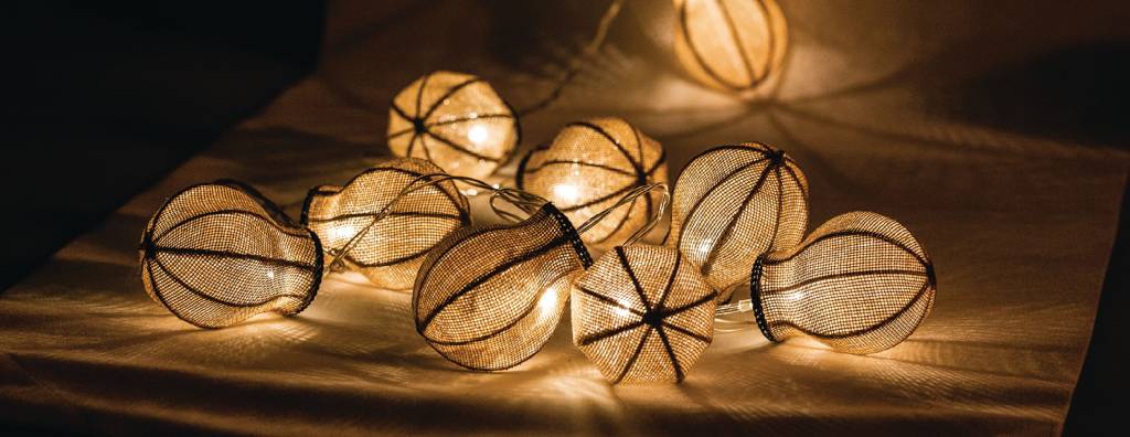 HQ 10 LED's Lichtslinger - Peer