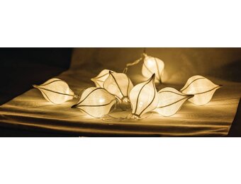 HQ 10 LED's Lichtslinger - Druppel