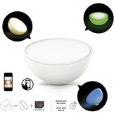 Philips Hue Go LED Tafellamp - White