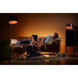 Philips Hue Go LED Tafellamp - White