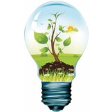 HQ E27 Retro Filament LED Lamp A60 6 W (60 W) - 2700 K