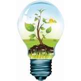 HQ E27 Retro Filament LED Lamp Globe Dimbaar 4 W (30 W) - 2700 K