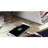 Samsung Powerbank Fast Charging 5200 mAh - Goud