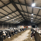 LED High Bay UFO Super 150 W - 4000 K