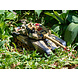 Brother Toys Brother Toys RC Big War Tank 9995 (Legerprint, 2.4GHz) Brother Toys Brother Toys RC Big War Tank 9995 (Legerprint, 2.4GHz)