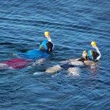 Full Face Mask met Snorkelmasker (Roze, GoPro houder)