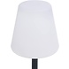 Smartwares Smartwares OSL-50012 LED Tafellamp (Solar, Oplaadbaar via USB, Dimbaar) Smartwares Smartwares OSL-50012 LED Tafellamp (Solar, Oplaadbaar via USB, Dimbaar)