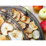 Esperanza Chanterelles Voedseldroger - 5 Laags