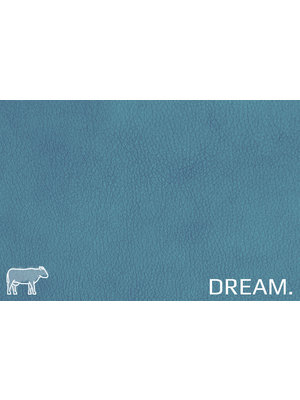 Dream Bluetooth (blauw) - Dream Leder (nappa leder)