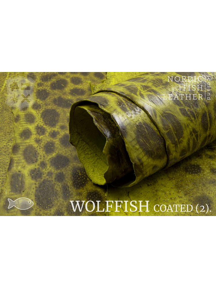 Nordic Fish Leather Gevlekte Zeewolf in de kleur Glói 882s (geel), gefinisht met medium gloss