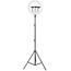 Ringlamp met Statief (Verstelbaar tot 200cm) - Ringlight 14 inch / 36 cm met Telefoonstatief - Gaming  pc Setup Lamp - Tiktok Lamp - Dimbaar