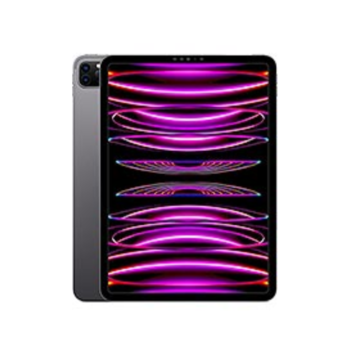 Apple iPad Pro 11 (2022/2021/2020)