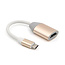 USB-C naar HDMI Adapter - 4K - USB-C Hub - HD kwaliteit - Goud