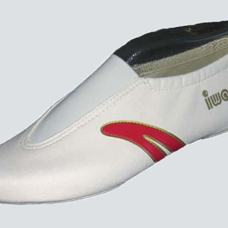 Gymnastics Shoes