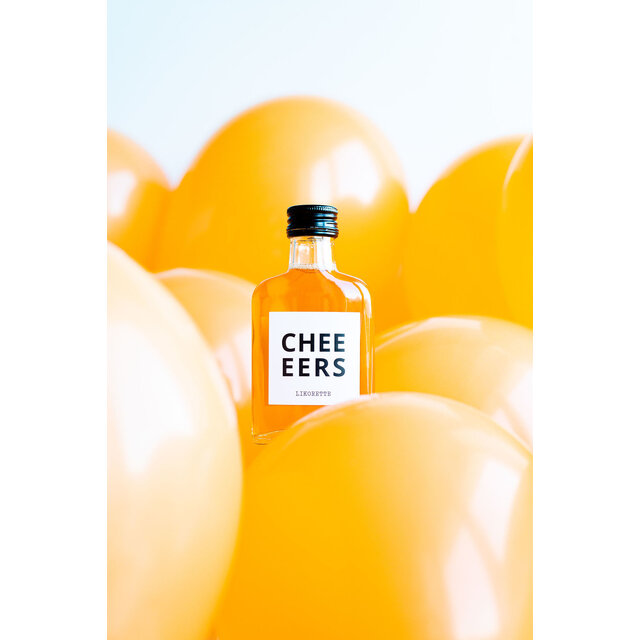 Cheeeers - oh oh orange  - oranjebitterlikorette - per 6