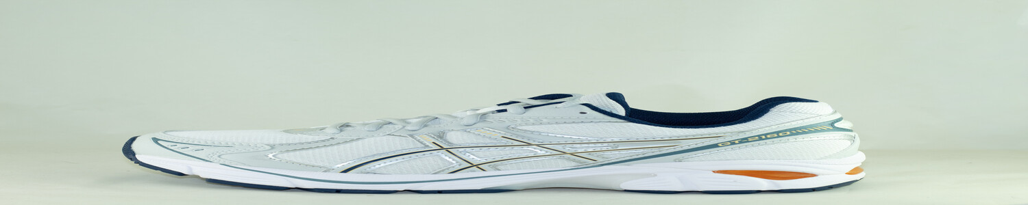 ASICS ASICS GT-2160 White/ Glacier Grey