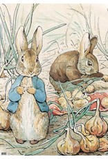 Beatrix Potter Gift Wrap Beatrix Potter