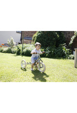 Trybike Trybike 2-in-1 Steel Vintage-Green