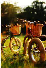 Trybike Trybike Wicker basket