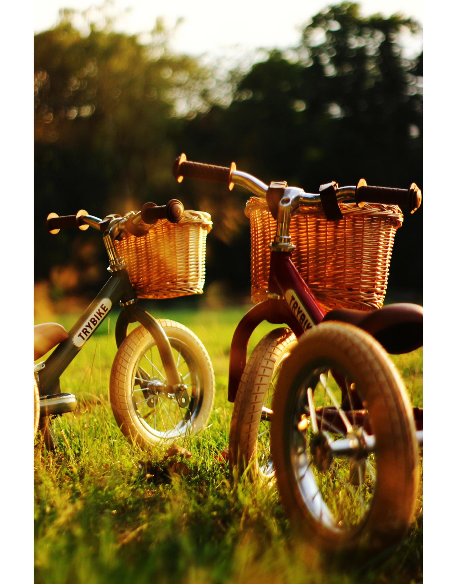 Trybike Trybike Wicker basket