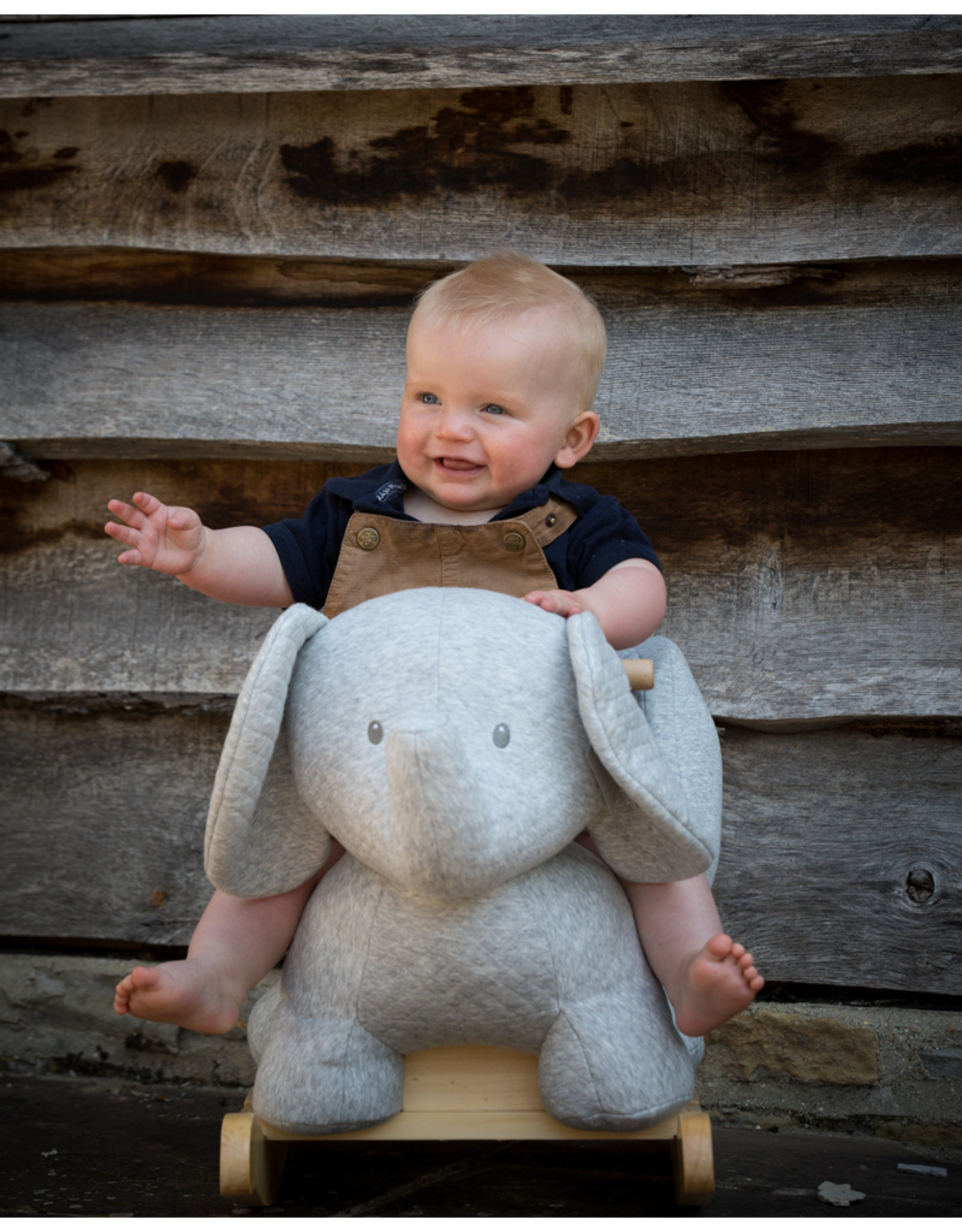 Nattou  Nattou Tembo Elephant