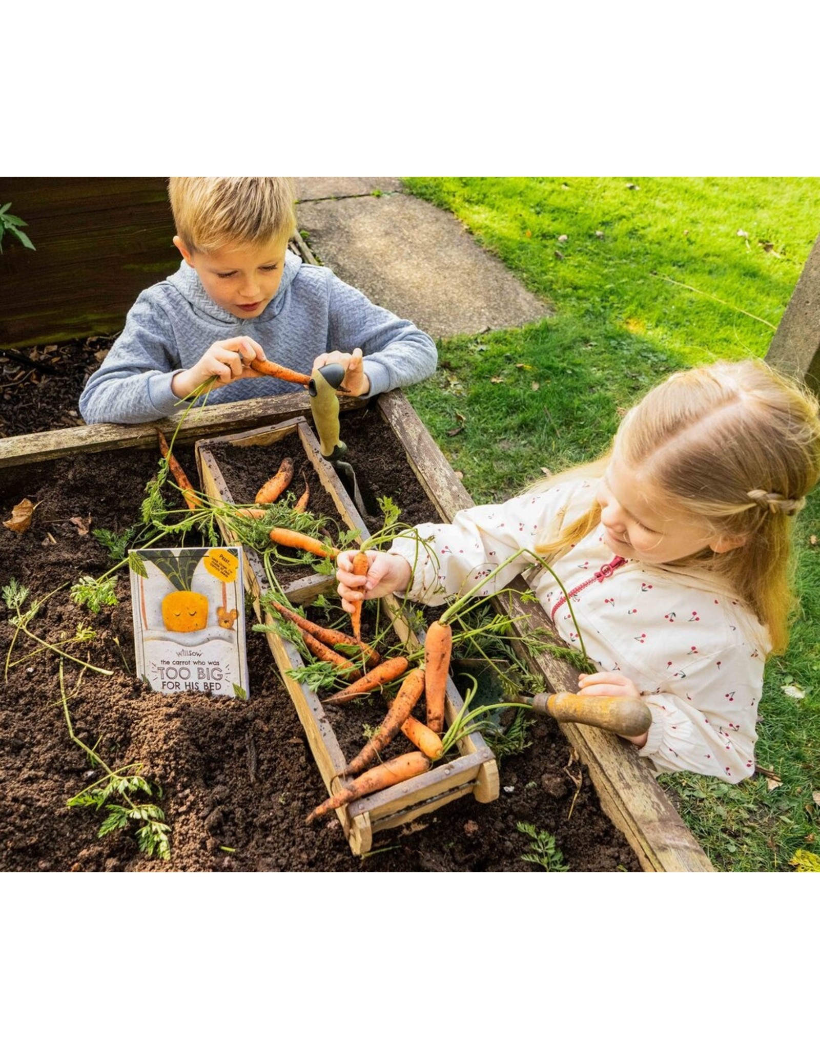 Plantable Children's Books- The Basil Who Built Bridges