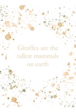 WildChildAMZ ABC Animal Flashcards- Extra Large A6