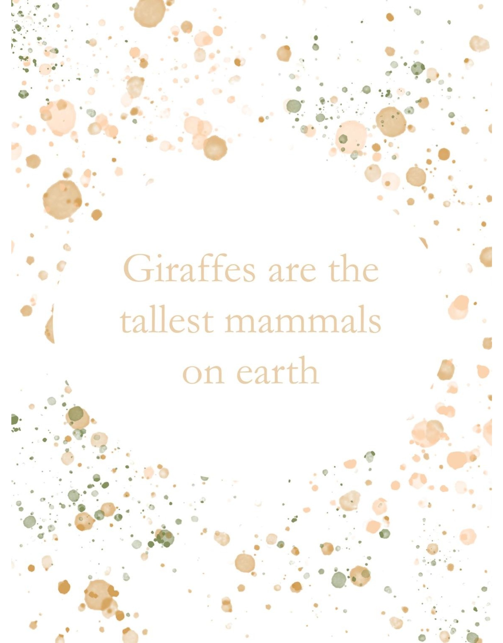 WildChildAMZ ABC Animal Flashcards- Extra Large A6