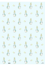 Beatrix Potter Gift Wrap Beatrix Potter