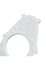 Molar Bear Molar Bear Teether - Alaska