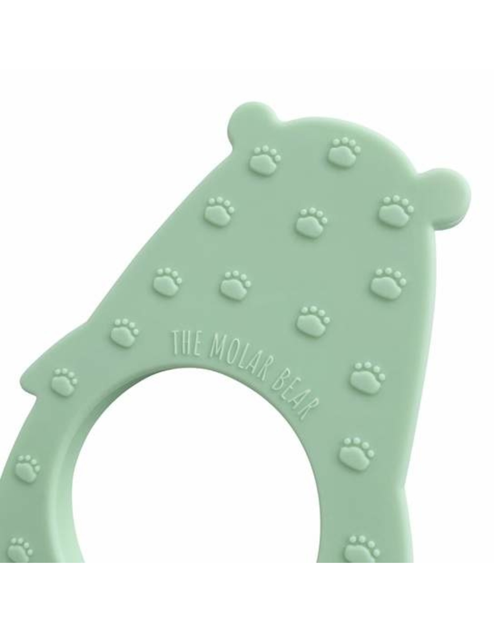 Molar Bear Molar Bear Teether- Minty