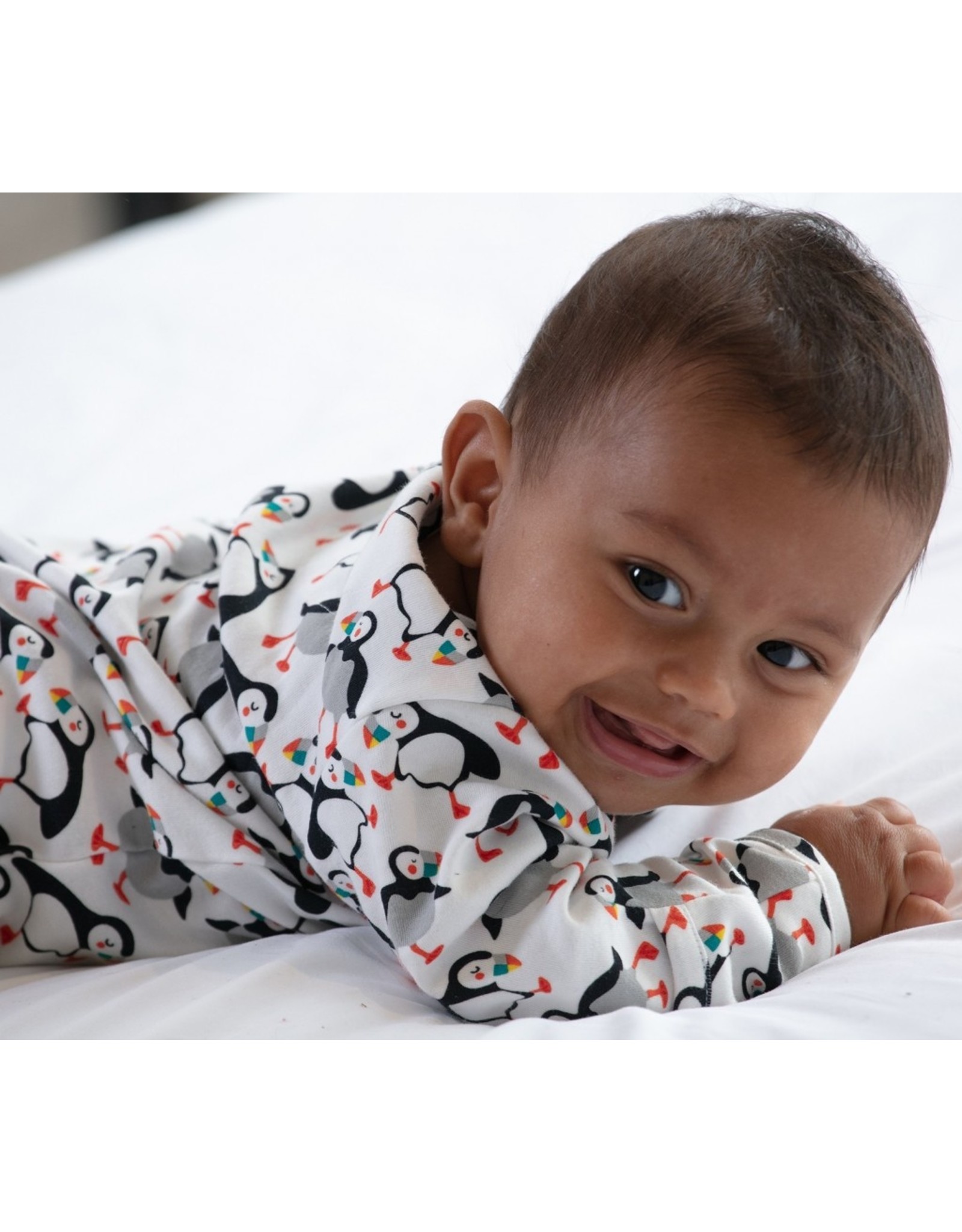 Piccalilly Piccalilly Footed Sleepsuit - Puffins