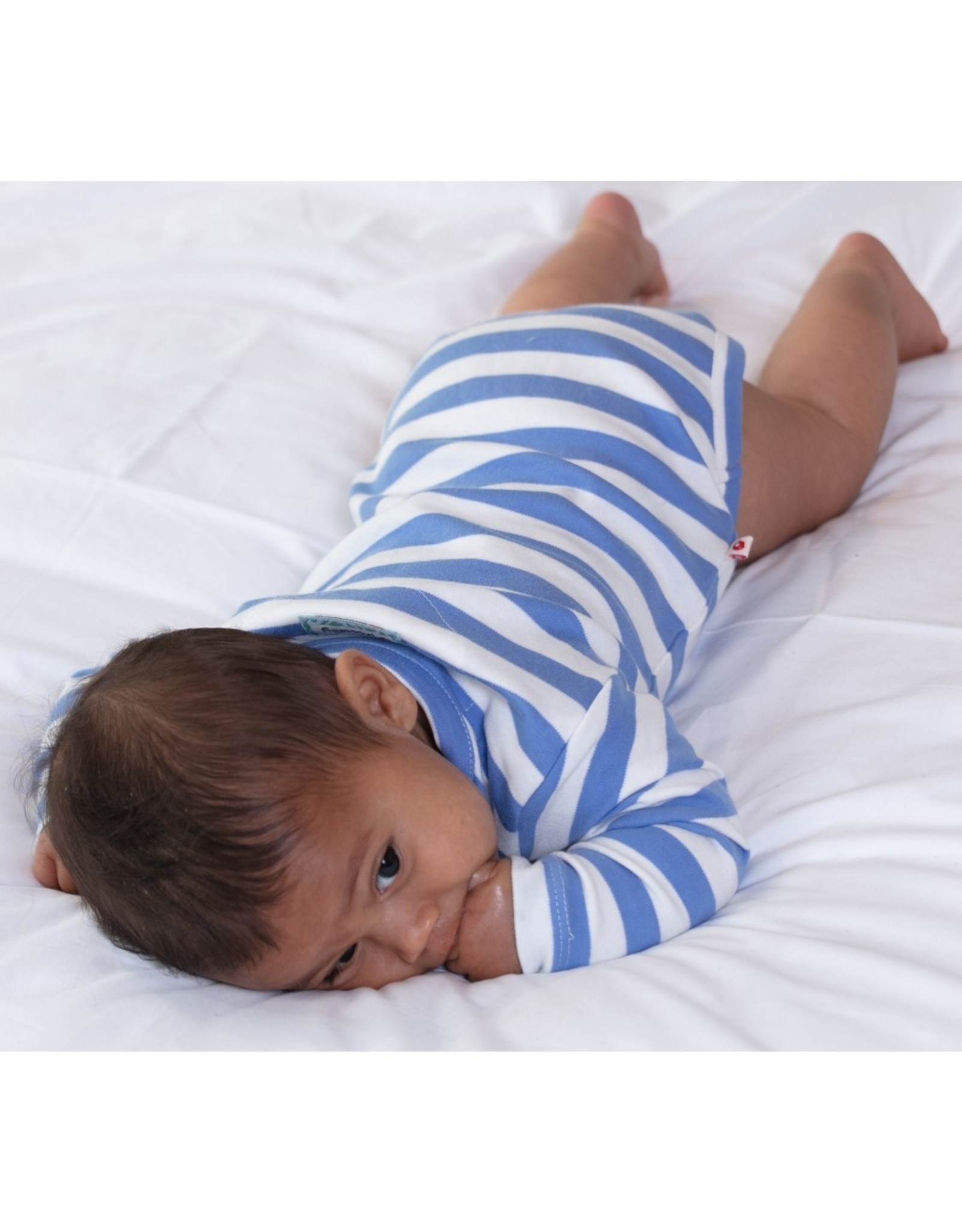 Piccalilly Piccalilly 2 Pack Baby Bodysuits - Otters