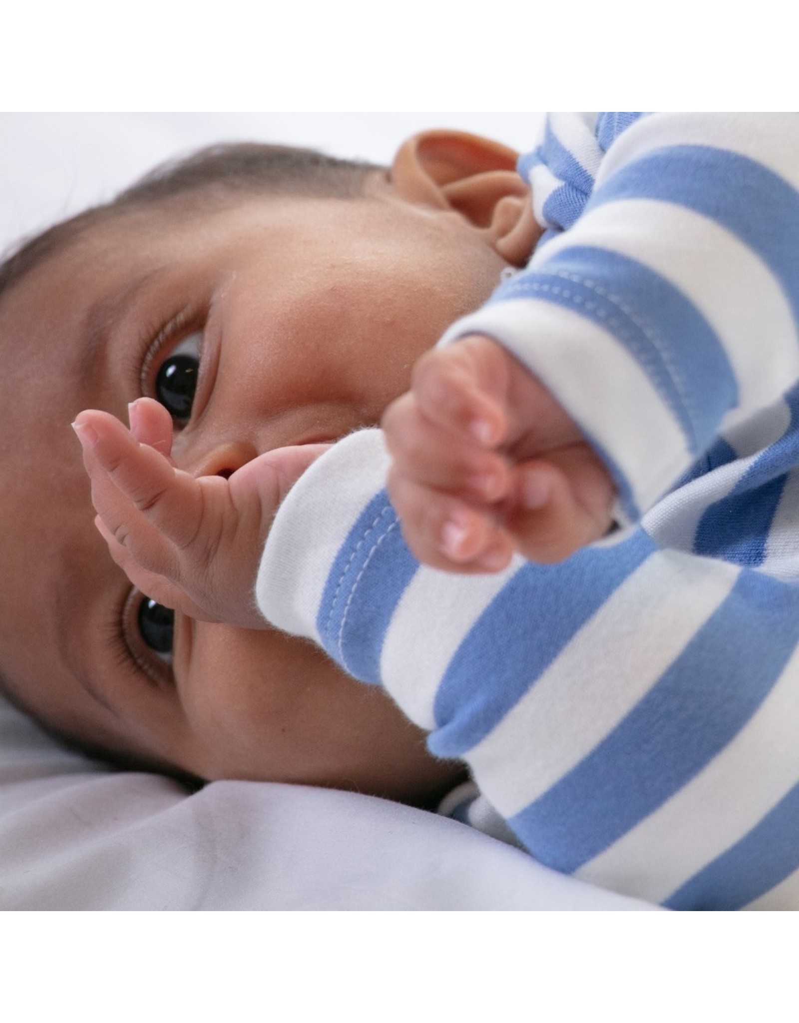 Piccalilly Piccalilly 2 Pack Baby Bodysuits - Otters