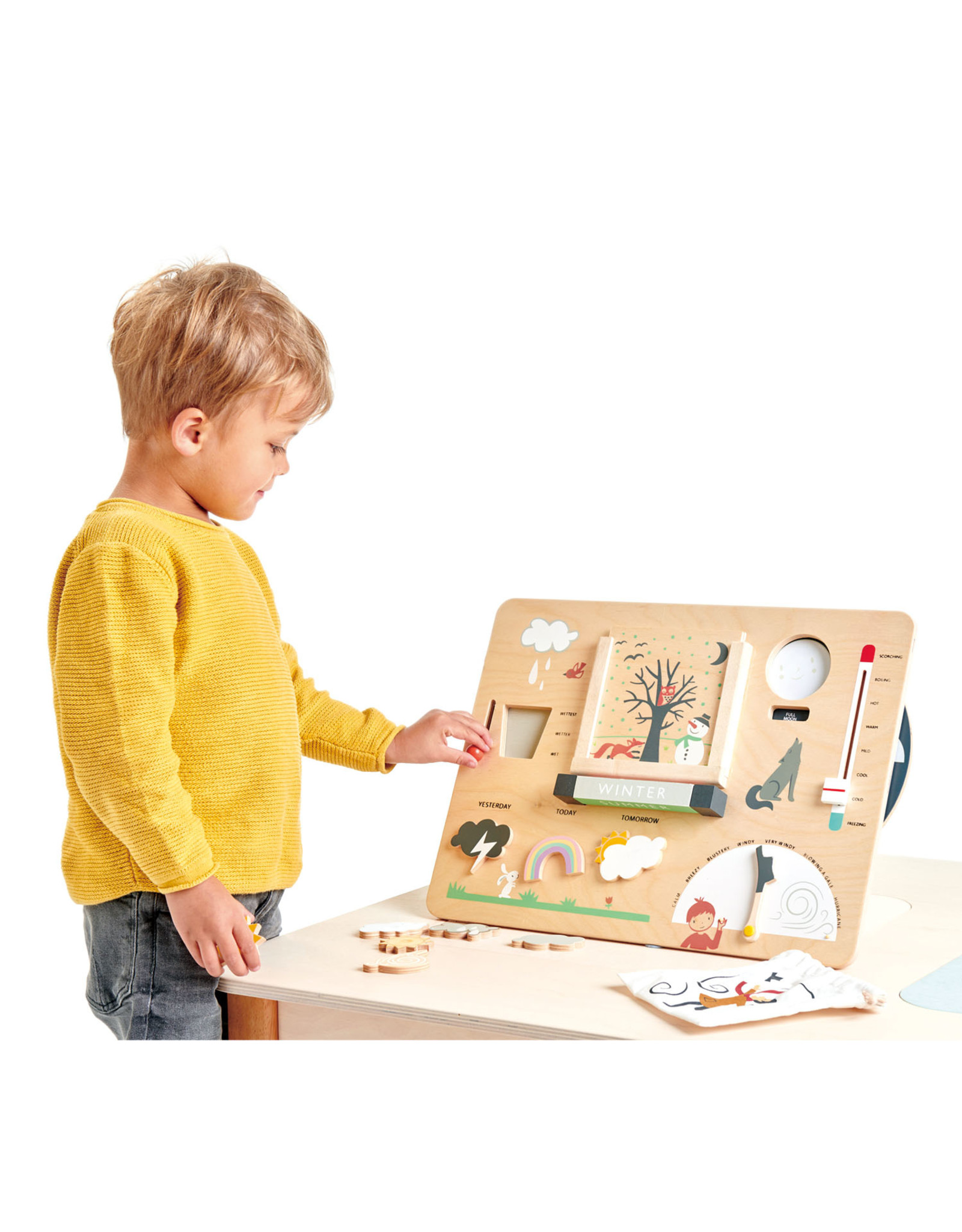 Tender Leaf Toys Tender Leaf Toys Weather Watch