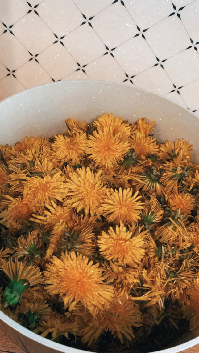 Löwenzahnhonig selber machen – so gelingt der aromatische Honig