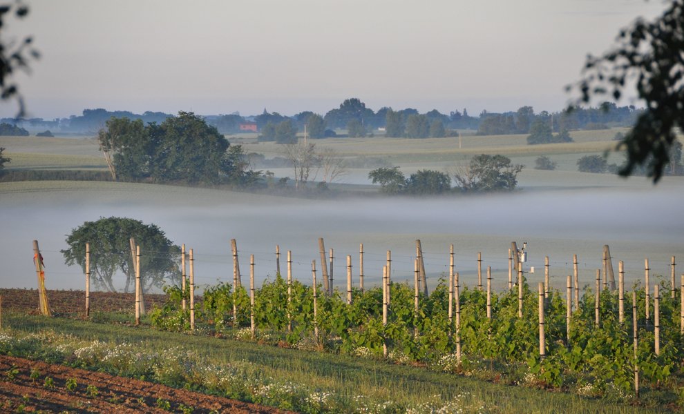 Wijn uit het hoge noorden