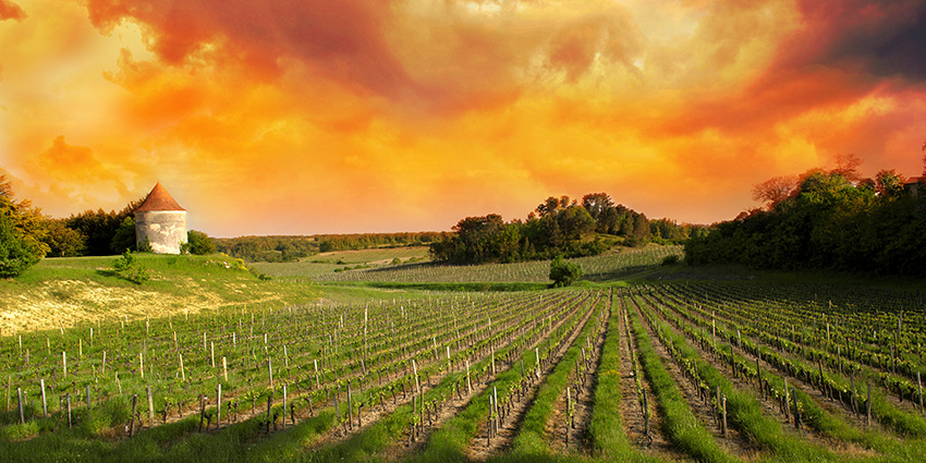 Hebben appellations nog zin in tijden van klimaatverandering?