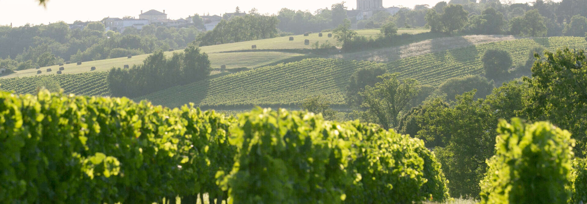 Denk je bij Franse wijn ook spontaan eerst aan Bordeaux ?