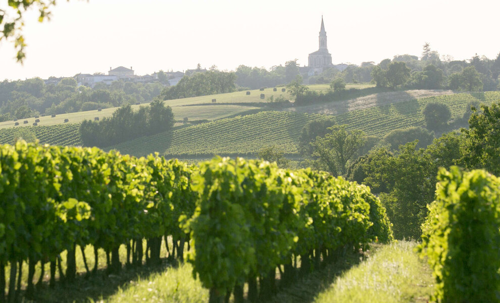 Denk je bij Franse wijn ook spontaan eerst aan Bordeaux ?