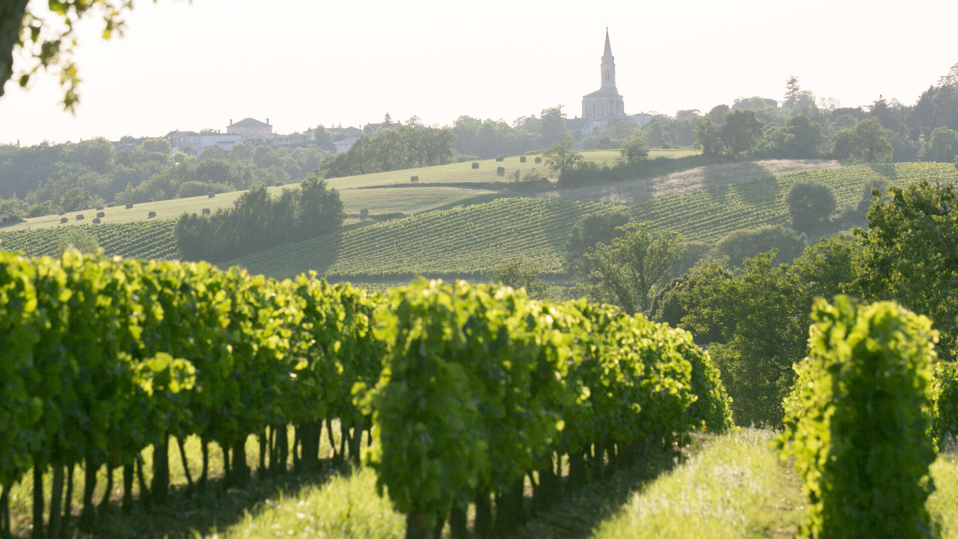 Denk je bij Franse wijn ook spontaan eerst aan Bordeaux ?