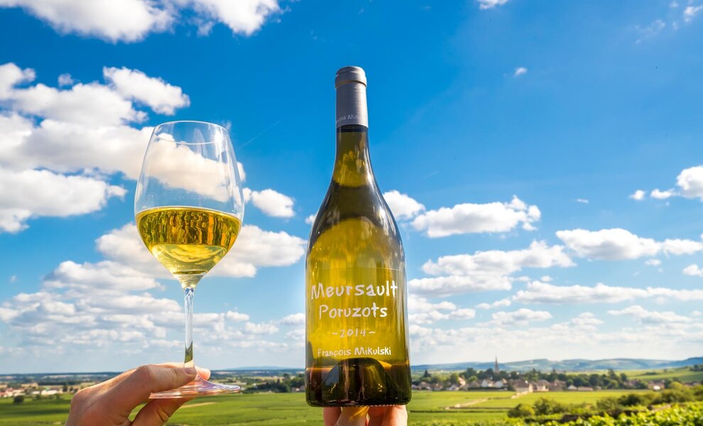 Bourgogne 2025, een jaargang om naar uit te kijken!
