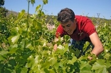 Marques de montecierzo