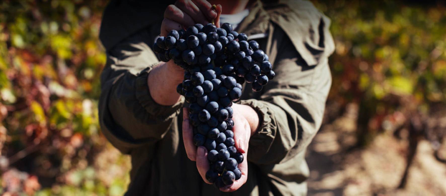 Kom langs tijdens de Open Fles Dagen