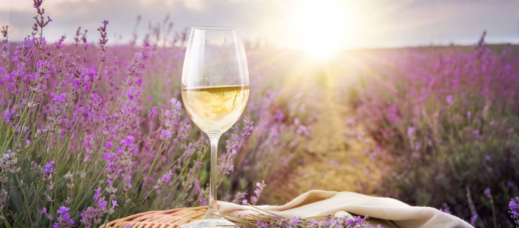 Welkom bij La Vinoteca