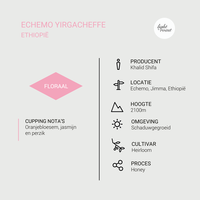 Echemo Yirgacheffe - Ethiopië