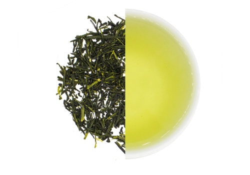 Cuperus Sencha Okuyataka
