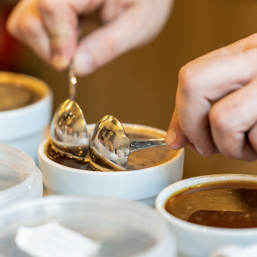 Wordt koffie-sommelier: Koffie proeven 