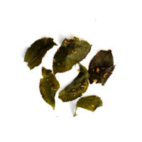 Osmanthus Oolong Premium - 50g